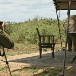 kleding voor safari in tanzania