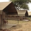 Ronjo Camp Serengeti area