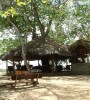 Selous Mbega Camp view