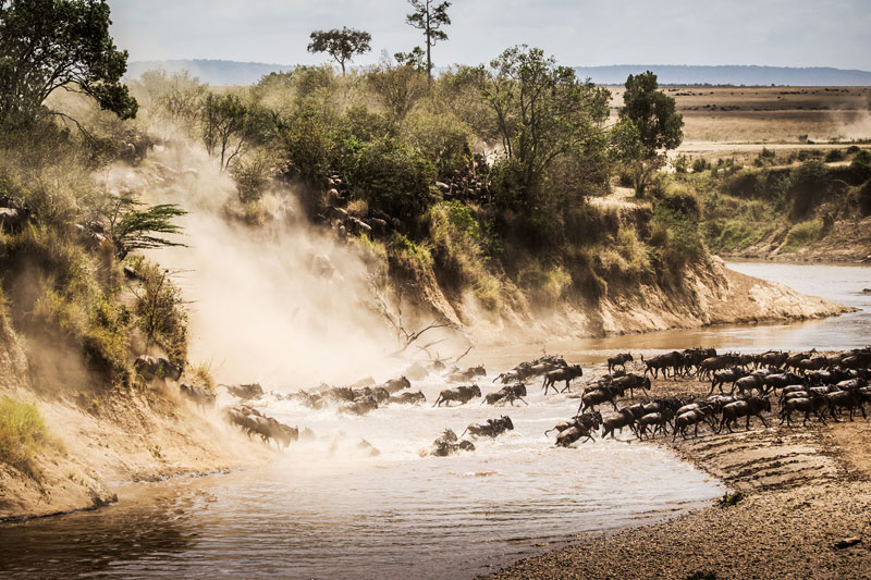 luxury migration safari tanzania